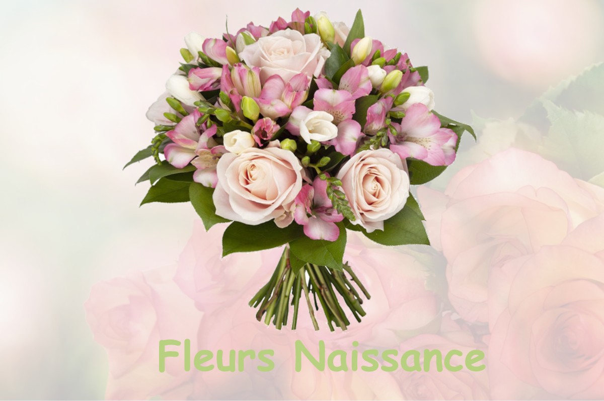 fleurs naissance BAZIEGE