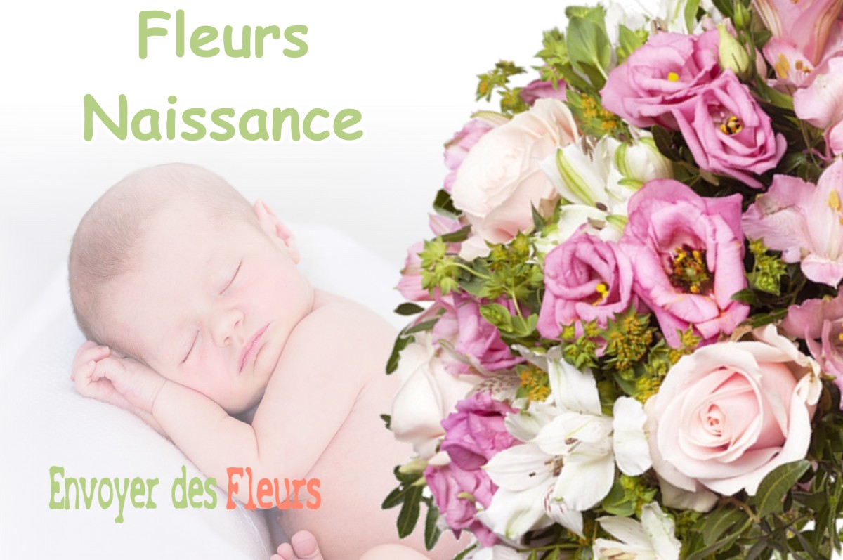 lIVRAISON FLEURS NAISSANCE à BAZIEGE