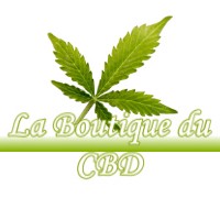 LA BOUTIQUE DU CBD BAZIEGE 